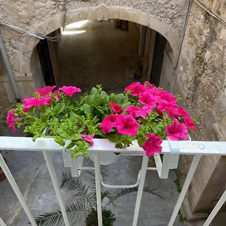 Alle Vergini Apartment Syracuse
